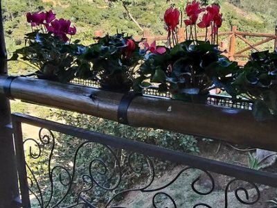 03eaeb_16dea7006e6a4551a518aaa9610463cb_mv2